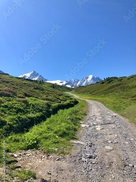 Obraz path in the mountains