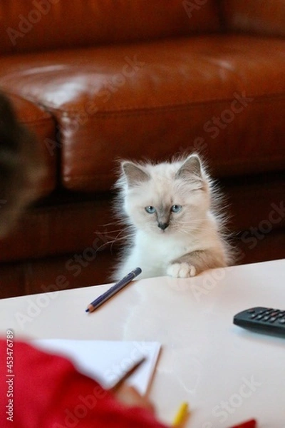 Obraz draw me something