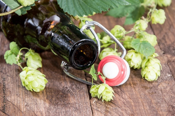 Obraz Empty bottle of Beer