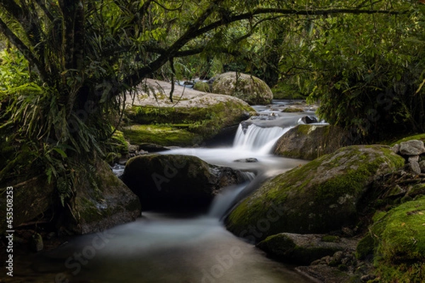 Obraz waterfall in the forest