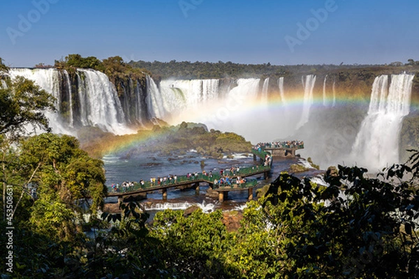 Obraz waterfall in the forest