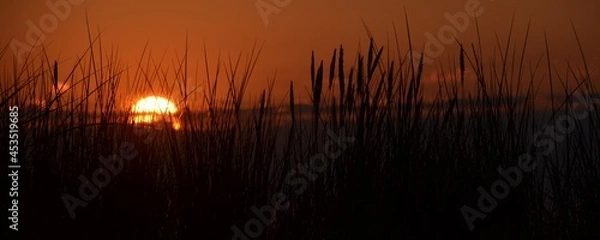 Obraz nearly set sun sunset at dune backlight grass on baltic sea