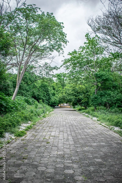 Obraz Entrada al Parque