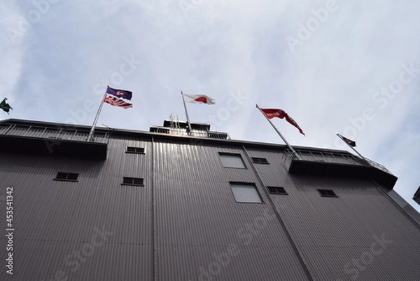 Obraz 甲子園球場