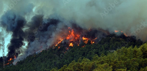 Obraz Wildfire in the forest near a resort town.Marmaris, Turkey.Summer 2021