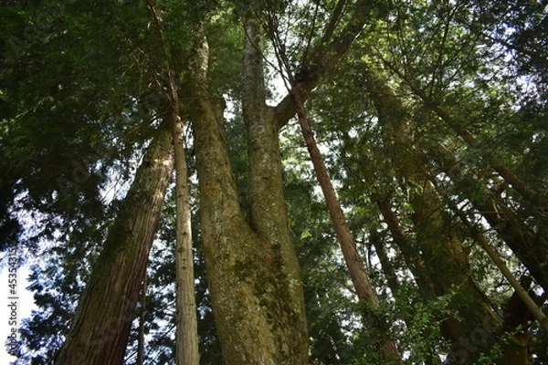 Fototapeta 群馬　中之条　道の駅　霊山たけやま　親都神社　周辺風景