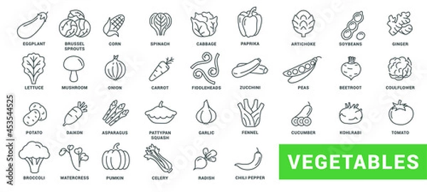 Fototapeta Vegetable icon set. Minimal thin line style. Outline icons collection vegetables zucchini, tomato, radish, mushroom, ginger, fennel, corn, celery. Vector illustration Design on white background EPS 10