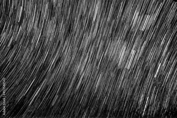 Obraz black and white