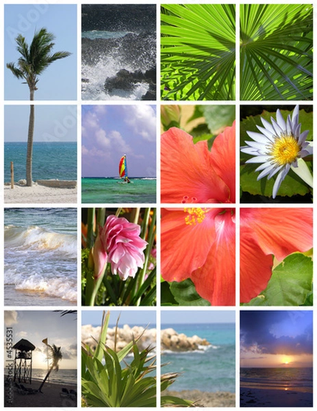 Obraz Paradise Collage 1