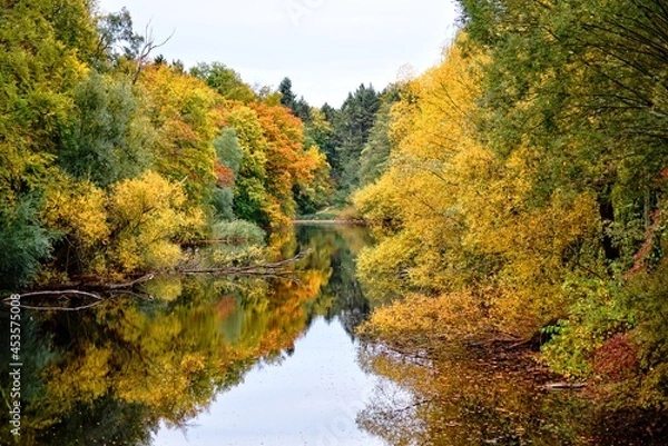 Fototapeta Odbity staw