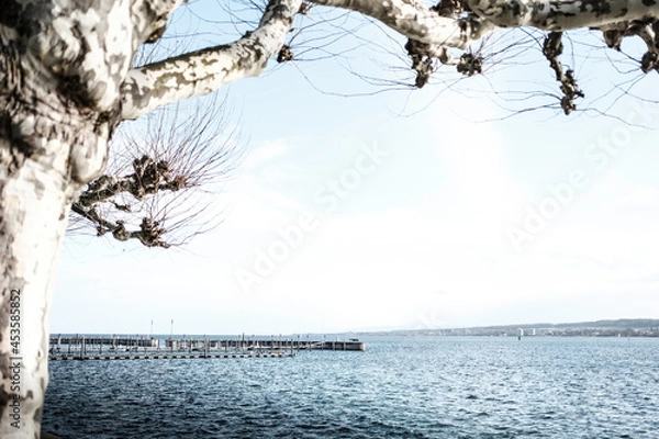 Obraz Bodensee