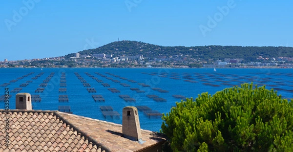 Obraz Sète Parcs à Huitres