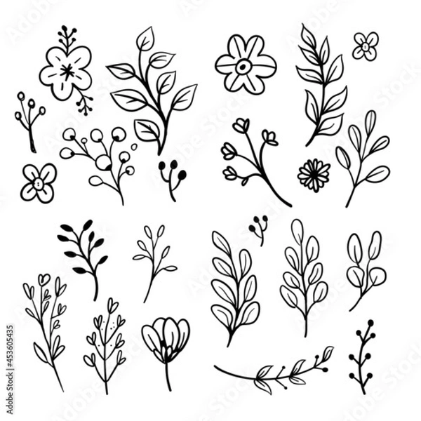 Fototapeta Floral doodles graphic elements vector set. Flowers and plants hand drawn illustrations.