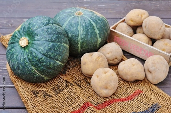 Obraz カボチャとジャガイモ