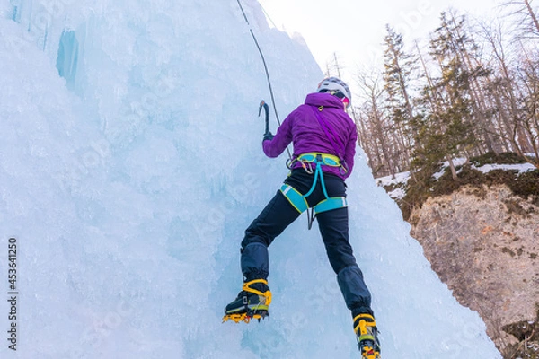 Fototapeta Female ice climber with ice climbing equipment, axes, helmet, harness, and crampons hanging on a frozen waterfall, back view
