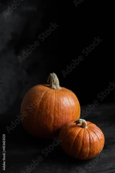 Fototapeta pumpkin on black background