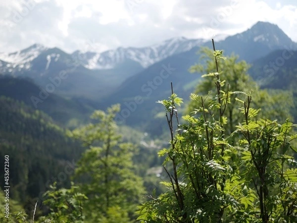 Obraz landscape in the mountains
