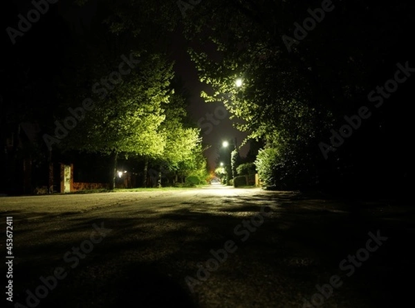 Obraz night time walk