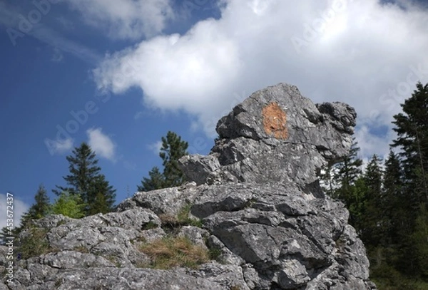 Obraz clouds over the mountains