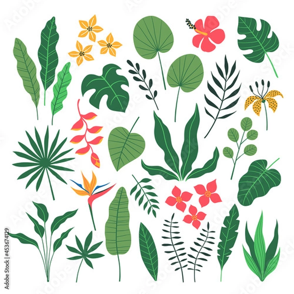 Obraz Vector set of tropical jungle leaves and flowers in flat style isolated on white background.