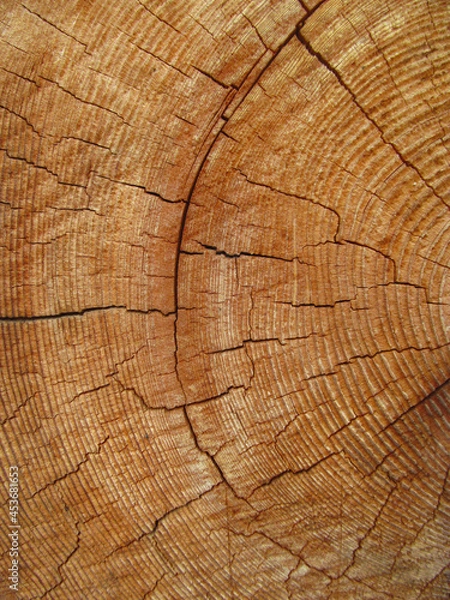 Fototapeta wood pattern