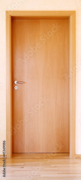 Obraz Living room door