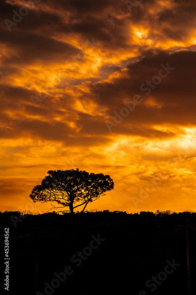 Obraz 浜辺の夕暮れ