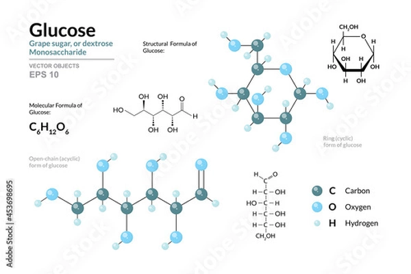 Fototapeta Glucose. Grape Sugar or Dextrose. Monosaccharide. Cyclic and Open Chain Form of Glucose. C6H12O6. Structural Chemical Formula and Molecule 3d Model. Atoms with Color Coding. Vector Illustration