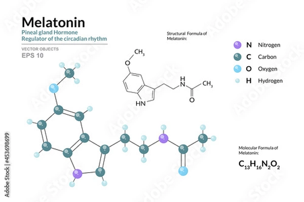 Fototapeta Melatonin. Pineal Gland Hormone. Regulator of the Circadian Rhythm. Dietary Supplement. C13H16N2O2. Structural Chemical Formula and Molecule 3d Model. Atoms with Color Coding. Vector Illustration