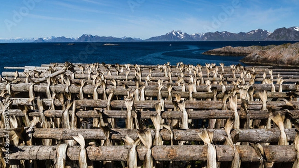 Fototapeta Stockfisch in Norwegen