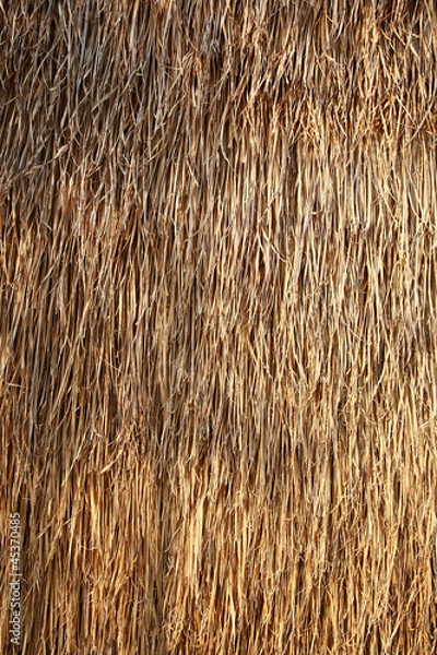 Fototapeta Thached roof