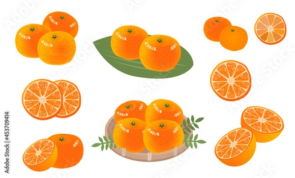 Fototapeta みかんのイラストセット　果物　フルーツ　
