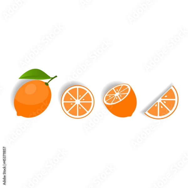 Obraz Fresh orange icon set on white background,vector illustration