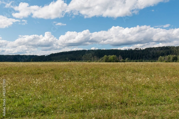 Obraz gorgeous nature landscape in summer