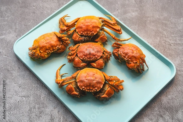 Obraz mitten crab