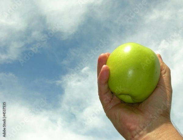 Obraz Mela verde nella mano