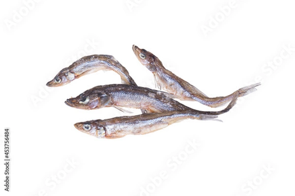 Obraz Dried salted sea fish isolated on a white