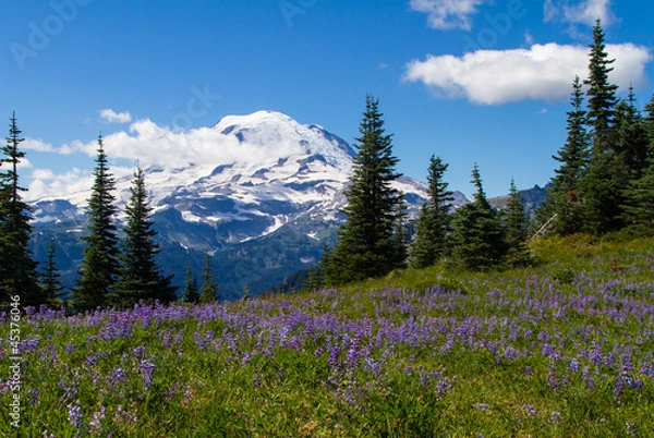 Fototapeta Mount Rainier