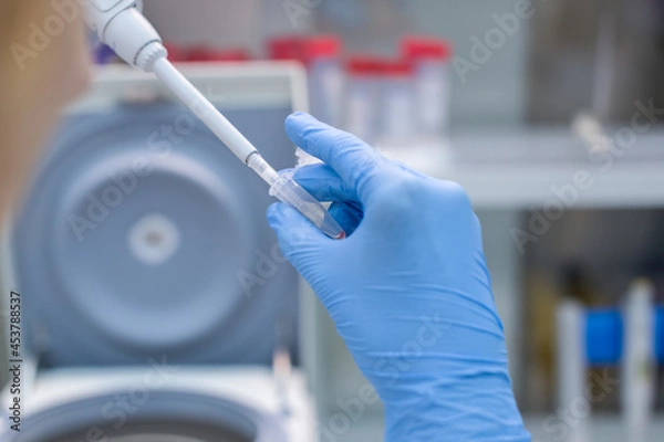 Obraz Laboratory technician isolates blood cells