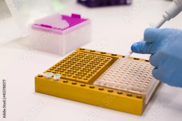 Obraz Laboratory technician digs out PCR to diagnose viruses