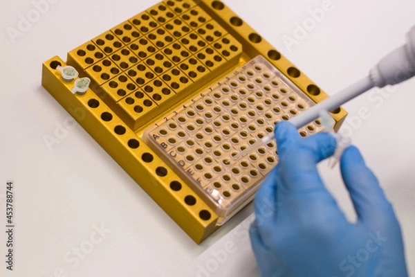 Fototapeta Laboratory technician digs out PCR to diagnose viruses