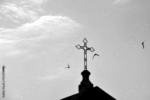 Fototapeta Full frame of Swallows in flight around the cross of the church