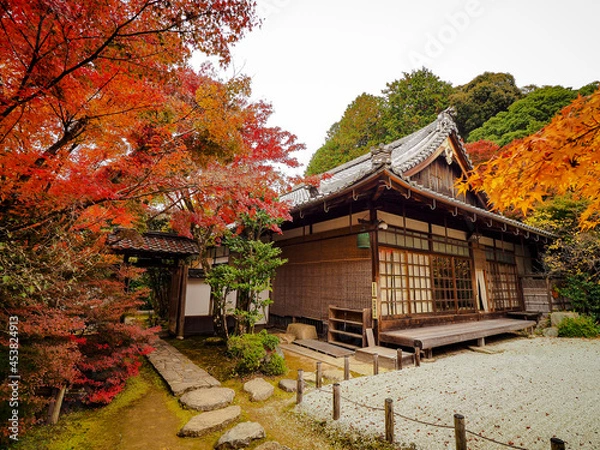 Obraz 【京都】金福寺の紅葉