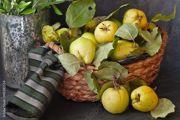 Fototapeta Korb voll Quitten