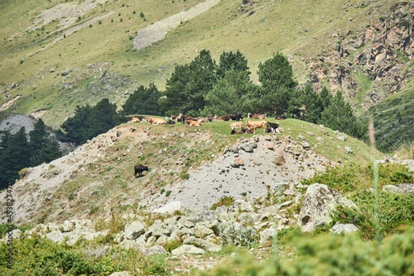 Fototapeta landscape with mountains