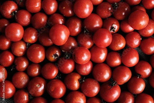 Obraz tomatoes background