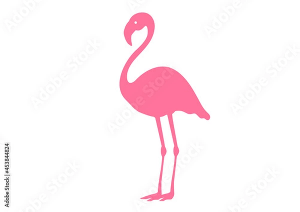 Obraz ピンクフラミンゴのベクターイラスト