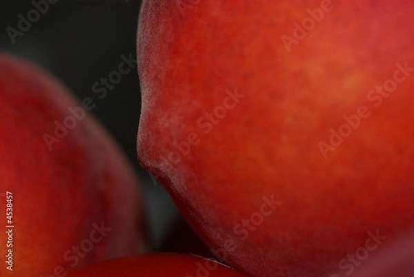 Obraz Peachy
