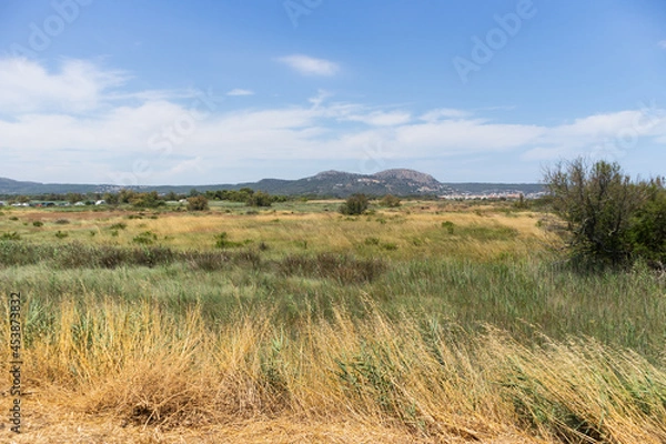 Fototapeta Landscape of a grass field and plants and a view of the castle of Montgrí, in the city of Estartit in Catalonia, Spain