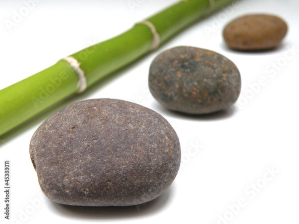 Fototapeta OLYMPUS DIGITAL CAMERA